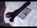116_femur.jpg
