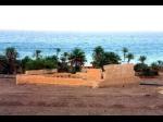 170_pichirot_tarabeen_2.jpg