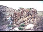 26_altarstone01a.jpg