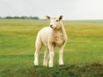 705_beranek.jpg
