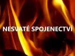 Nesvaté spojenectví 8/8 Živý oheň (Věčné evangelium) - Ronny Schreiber