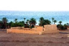 170_pichirot_tarabeen_2.jpg