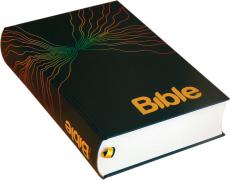285_bible.jpg