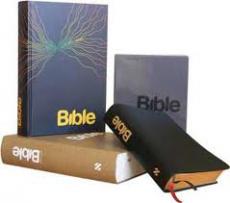 416_bible21.jpg