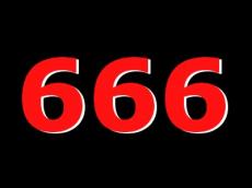 447_666.jpg
