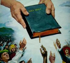 454_adventiste.jpg