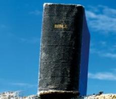 477_odhalte_svet_bible.jpg