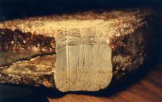 47_noahs-ark_petrified_wood.jpg