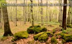 538_dopis_od_boha.jpg