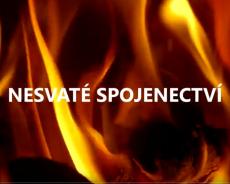 776_nesvate-spojenectvi-ronny-schreiber.jpg